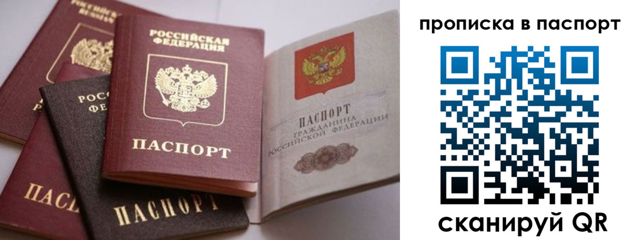 прописка поиск в Арсеньеве